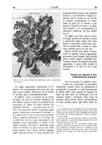 giornale/TO00174164/1933/unico/00000096