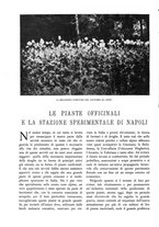 giornale/TO00174164/1933/unico/00000132