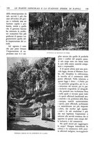 giornale/TO00174164/1933/unico/00000133