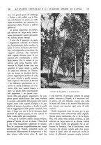 giornale/TO00174164/1933/unico/00000135
