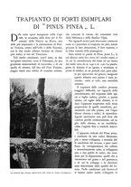 giornale/TO00174164/1933/unico/00000139