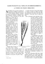 giornale/TO00174164/1933/unico/00000158