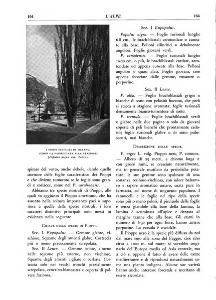 L'alpe rivista forestale italiana fondata dalla Società emiliana pro-montibus et sylvis