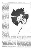giornale/TO00174164/1933/unico/00000181