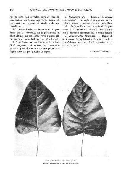 L'alpe rivista forestale italiana fondata dalla Società emiliana pro-montibus et sylvis