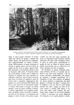 giornale/TO00174164/1933/unico/00000192