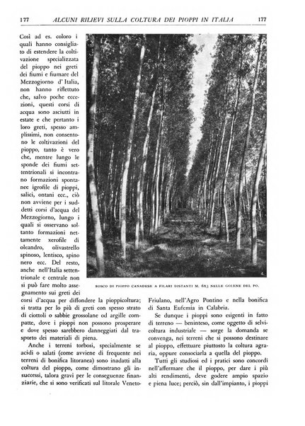 L'alpe rivista forestale italiana fondata dalla Società emiliana pro-montibus et sylvis