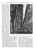 giornale/TO00174164/1933/unico/00000193