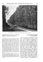giornale/TO00174164/1933/unico/00000195
