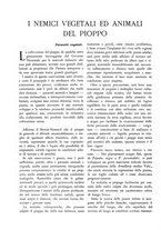 giornale/TO00174164/1933/unico/00000208