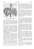 giornale/TO00174164/1933/unico/00000214