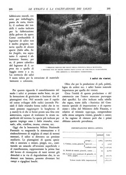 L'alpe rivista forestale italiana fondata dalla Società emiliana pro-montibus et sylvis