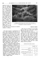 giornale/TO00174164/1933/unico/00000221
