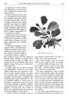 giornale/TO00174164/1933/unico/00000231