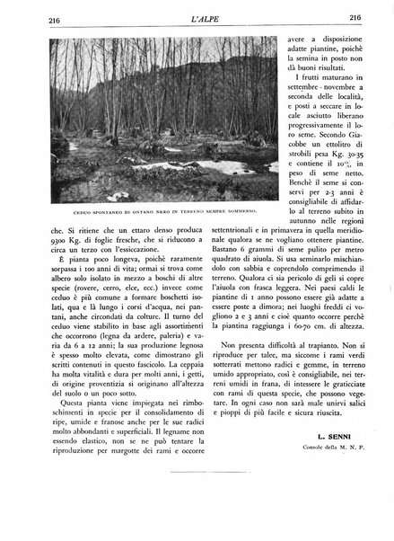 L'alpe rivista forestale italiana fondata dalla Società emiliana pro-montibus et sylvis