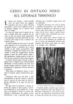 giornale/TO00174164/1933/unico/00000233