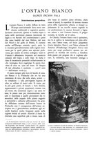 giornale/TO00174164/1933/unico/00000237