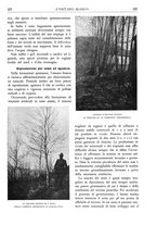 giornale/TO00174164/1933/unico/00000241