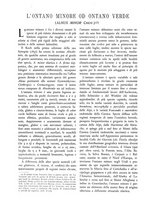 giornale/TO00174164/1933/unico/00000244