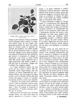 giornale/TO00174164/1933/unico/00000246