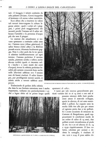 L'alpe rivista forestale italiana fondata dalla Società emiliana pro-montibus et sylvis