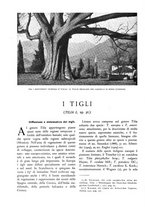 giornale/TO00174164/1933/unico/00000256