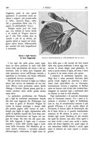 giornale/TO00174164/1933/unico/00000257