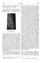 giornale/TO00174164/1933/unico/00000259