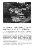giornale/TO00174164/1933/unico/00000278