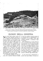 giornale/TO00174164/1933/unico/00000289