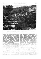 giornale/TO00174164/1933/unico/00000291