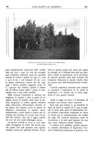 giornale/TO00174164/1933/unico/00000301