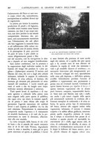 giornale/TO00174164/1933/unico/00000331
