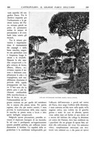 giornale/TO00174164/1933/unico/00000333