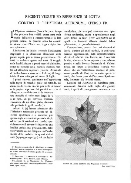 L'alpe rivista forestale italiana fondata dalla Società emiliana pro-montibus et sylvis