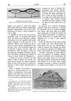 giornale/TO00174164/1933/unico/00000344