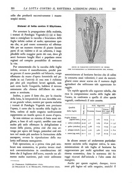 L'alpe rivista forestale italiana fondata dalla Società emiliana pro-montibus et sylvis