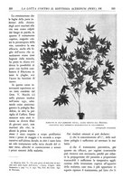 giornale/TO00174164/1933/unico/00000347