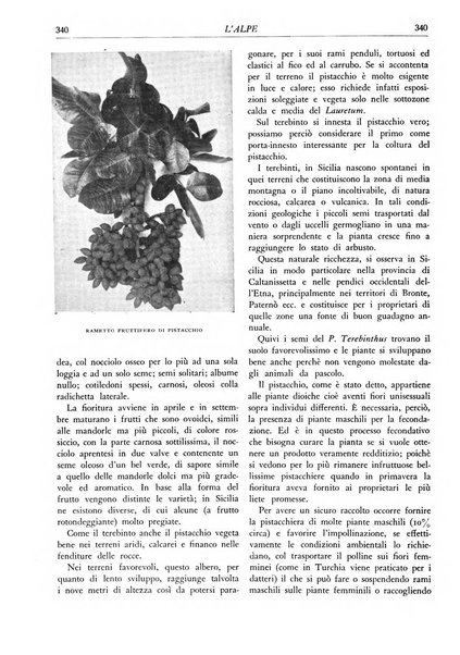 L'alpe rivista forestale italiana fondata dalla Società emiliana pro-montibus et sylvis