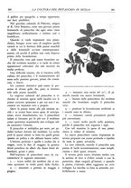 giornale/TO00174164/1933/unico/00000365