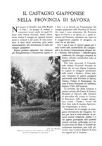 giornale/TO00174164/1933/unico/00000396