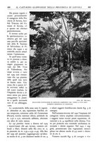 giornale/TO00174164/1933/unico/00000397