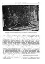 giornale/TO00174164/1933/unico/00000415