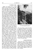 giornale/TO00174164/1933/unico/00000445