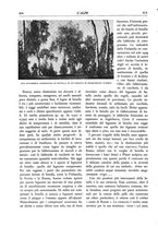 giornale/TO00174164/1933/unico/00000446