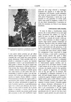 giornale/TO00174164/1933/unico/00000448