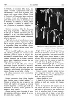 giornale/TO00174164/1933/unico/00000465