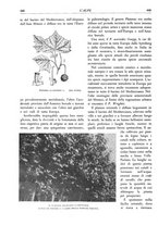 giornale/TO00174164/1933/unico/00000478