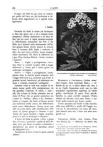 giornale/TO00174164/1933/unico/00000486