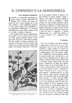 giornale/TO00174164/1933/unico/00000496